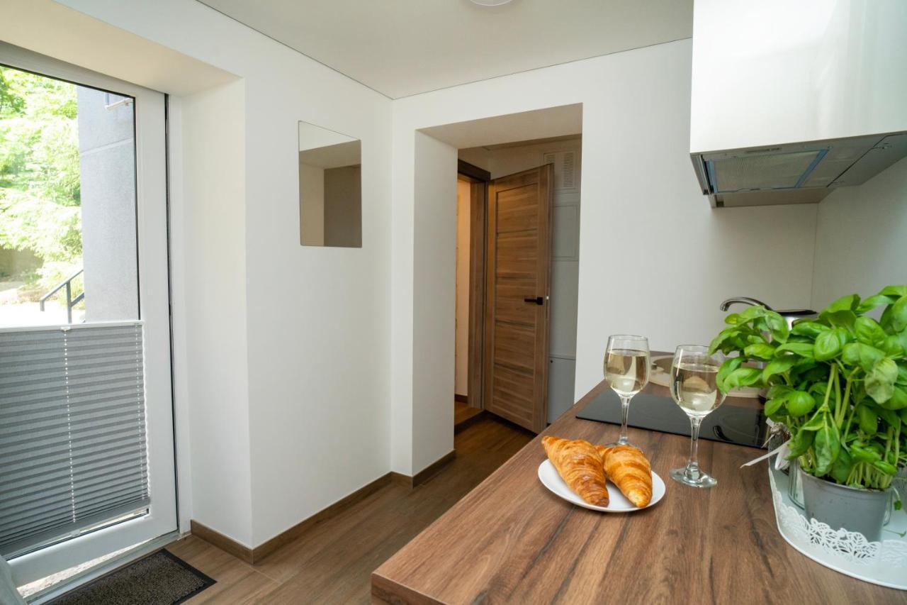 Downhill Apartment On The Groundfloor Kaunas Buitenkant foto